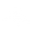 Buggy Educación Vial