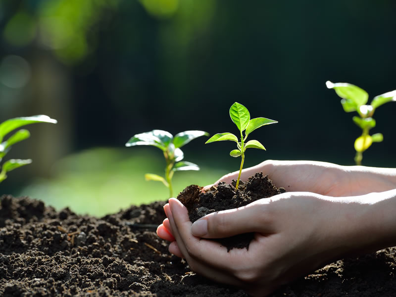 Taller de naturaleza
