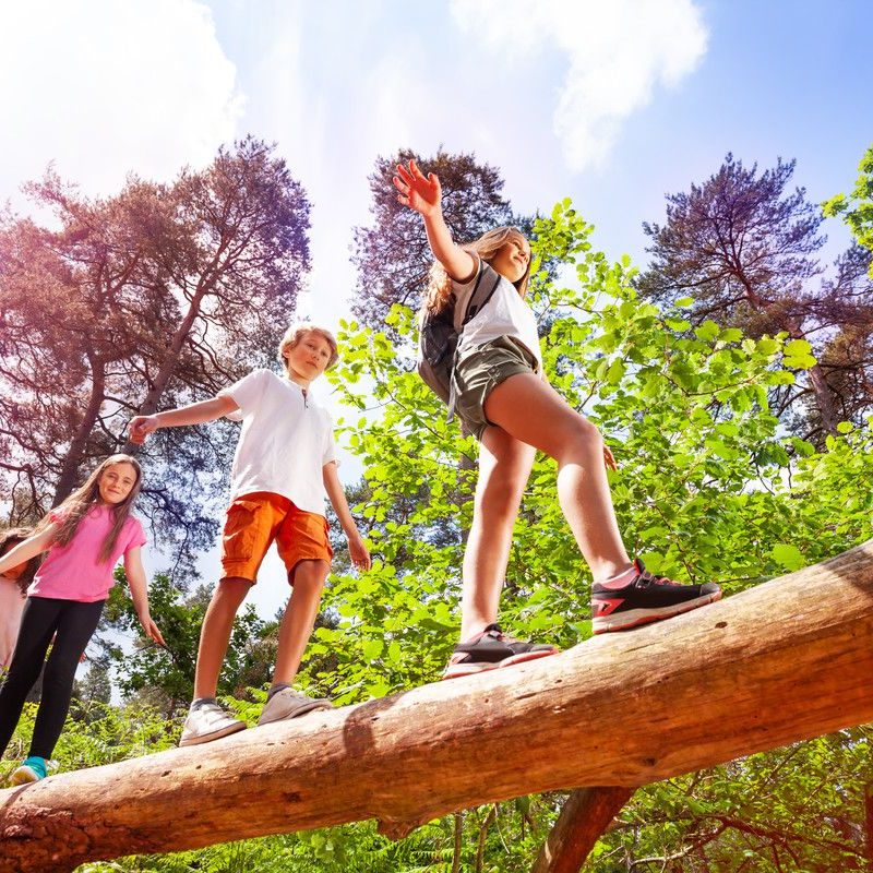 campamento campamento